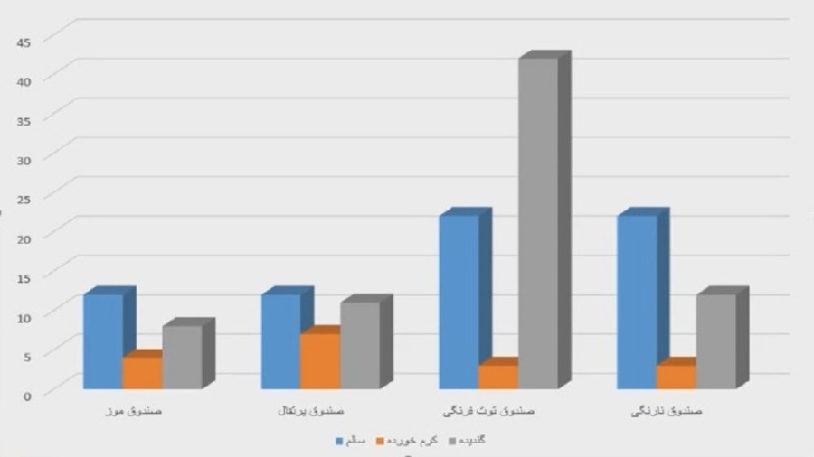 چطور در برنامه ورد آفیس یک نمودار بکشیم؟ | آموزش کامپیوتر Word با ریحانه