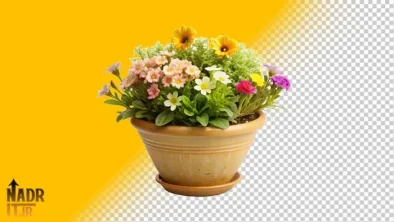 عکس گلدان گل بدون پس زمینه Flower Png Images