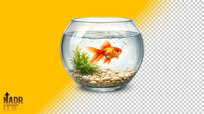 دانلود تصویر تنگ ماهی قرمز عید فایل PNG بدون پسزمینه 1 دانلود تصویر تنگ ماهی قرمز عید فایل PNG بدون پسزمینه