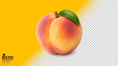 دانلود تصویر میوه هلو فایل PNG