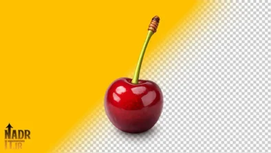 تصویر میوه آلبالو فایل PNG