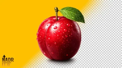 تصویر میوه آلوسیاه فایل PNG