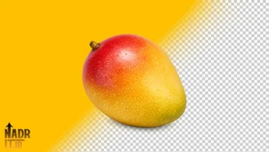 تصویر میوه انبه فایل PNG