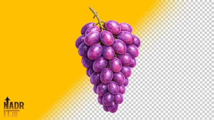 دانلود تصویر میوه انگور قرمز فایل PNG بدون پسزمینه 1 تصویر میوه انگور قرمز فایل PNG