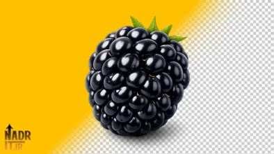 تصویر میوه تمشک سیاه فایل PNG