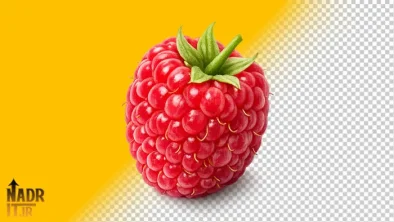 تصویر میوه تمشک قرمز فایل PNG