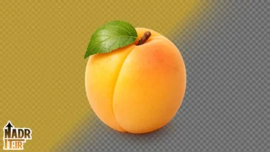 تصویر میوه زردآلو فایل PNG