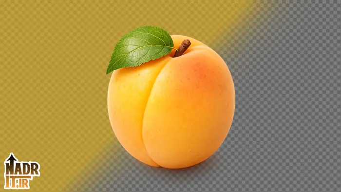 دانلود تصویر میوه زردآلو فایل PNG بدون پسزمینه 1 تصویر میوه زردآلو فایل PNG
