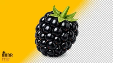 تصویر میوه شاه توت فایل PNG