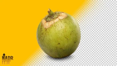 تصویر میوه نارگیل سبز فایل PNG