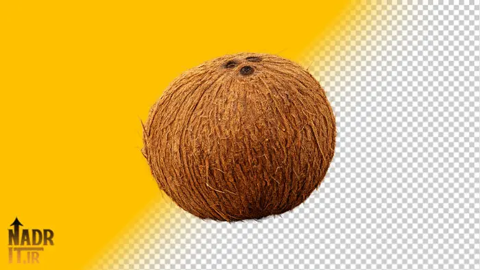 دانلود تصویر میوه نارگیل فایل PNG بدون پسزمینه 1 تصویر میوه نارگیل فایل PNG