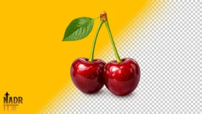 تصویر میوه گیلاس فایل PNG