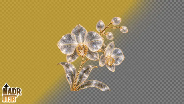 تصویر گل ارکیده کد1 فایل PNG