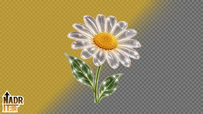 تصویر گل بابونه کد1 فایل PNG
