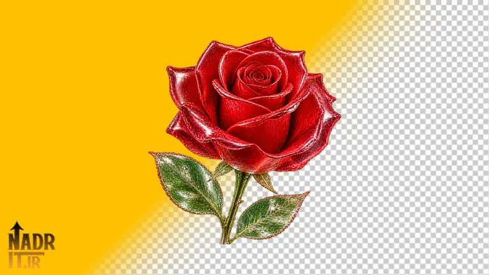 تصویر گل رز قرمز کد1 فایل PNG